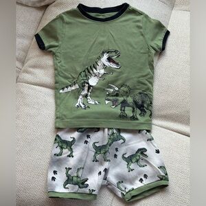 💯Cotton Green Dinosaur Kids Set Size4